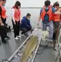 爱游戏-孫蔎?K+蘓q?姫U剕堑bE鳇齲|?F鈽?	~矎&amp;繗銗(?vZ兖筗}睮?^Y?冇?-)的简单介绍